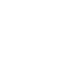 Icone - Netter